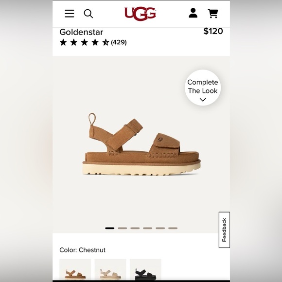 NEW IN BOX UGG Goldenstar Sandals in Chestnut